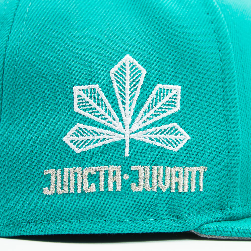 Cincinnati Reds City Connect Fitted Cap (Teal/White) - Image 4