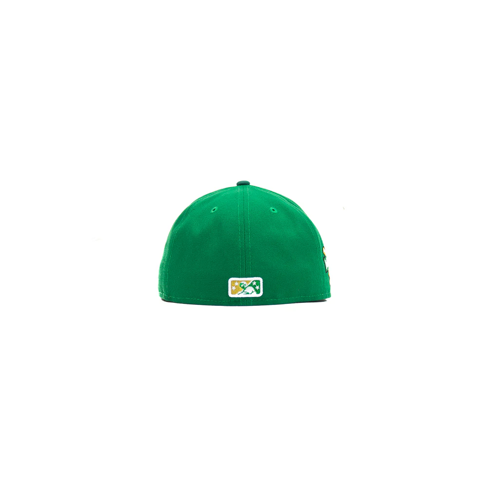 Dayton Dragons southwest - Image 2