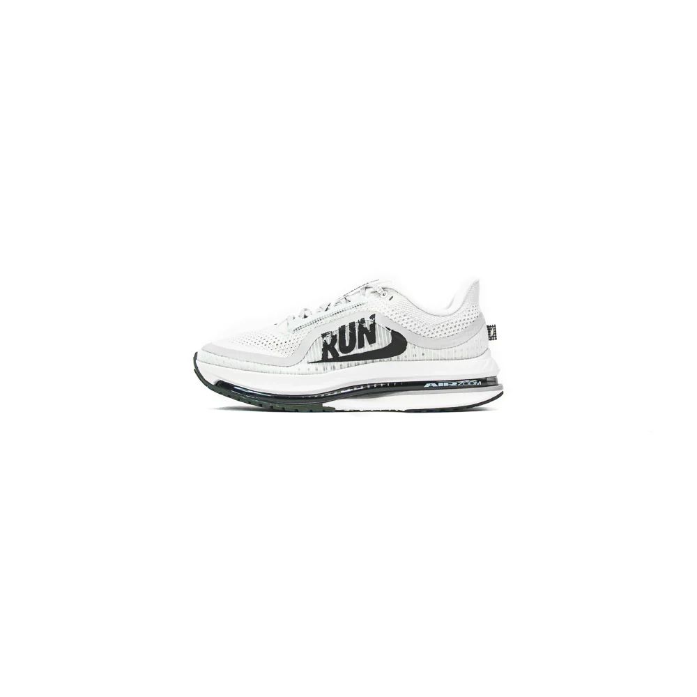 Pegasus Premium (Platinum Tint/Black/Sail)