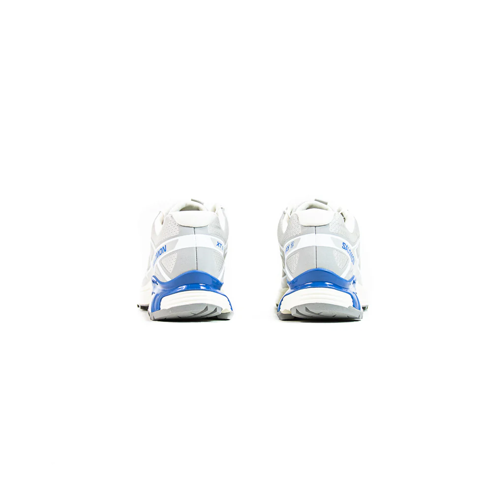 XT-PATHWAY 2 (Lunar Rock/Ultramarine/Vanilla Ice) - Image 3